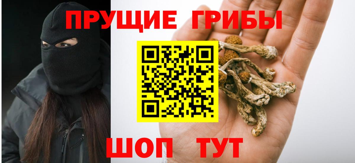 Псилоцибиновые грибы мухоморы  Вход с VPN  Соль-Илецк 